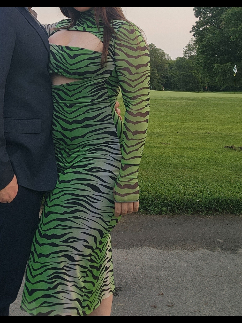 Green Zebra Maxi Dress